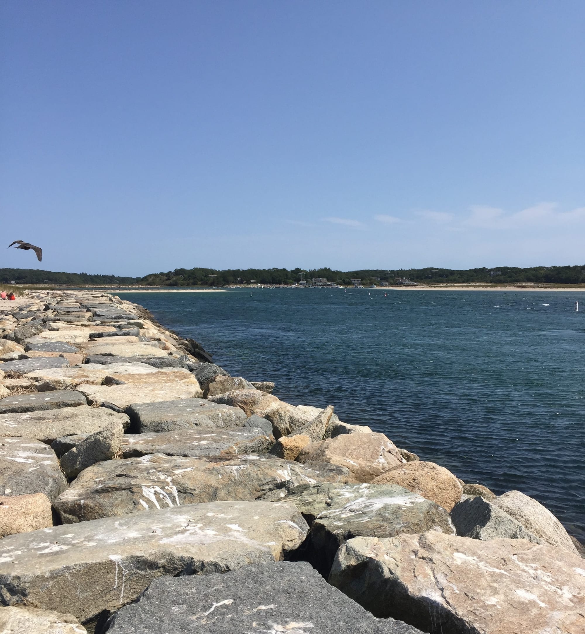 Cape Cod, Massachusetts Travel Guide