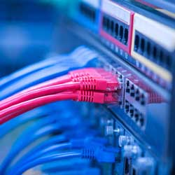 Voice and Data Cabling