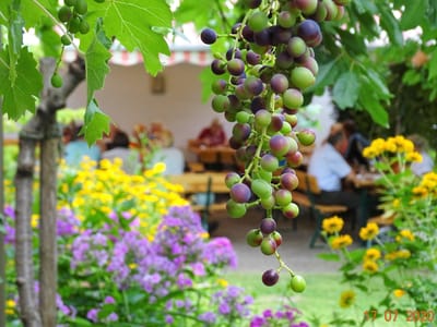 DONNERWETTER IN DONNERKIRCHEN