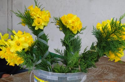 SANTO ANTÓNIO DA SERRA