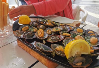 MOLHO DE TOLOS