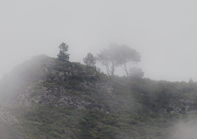 EIRA DO SERRADO