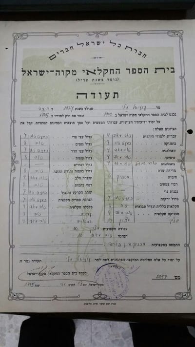 נטע שפירא – בין תוכן לצורה