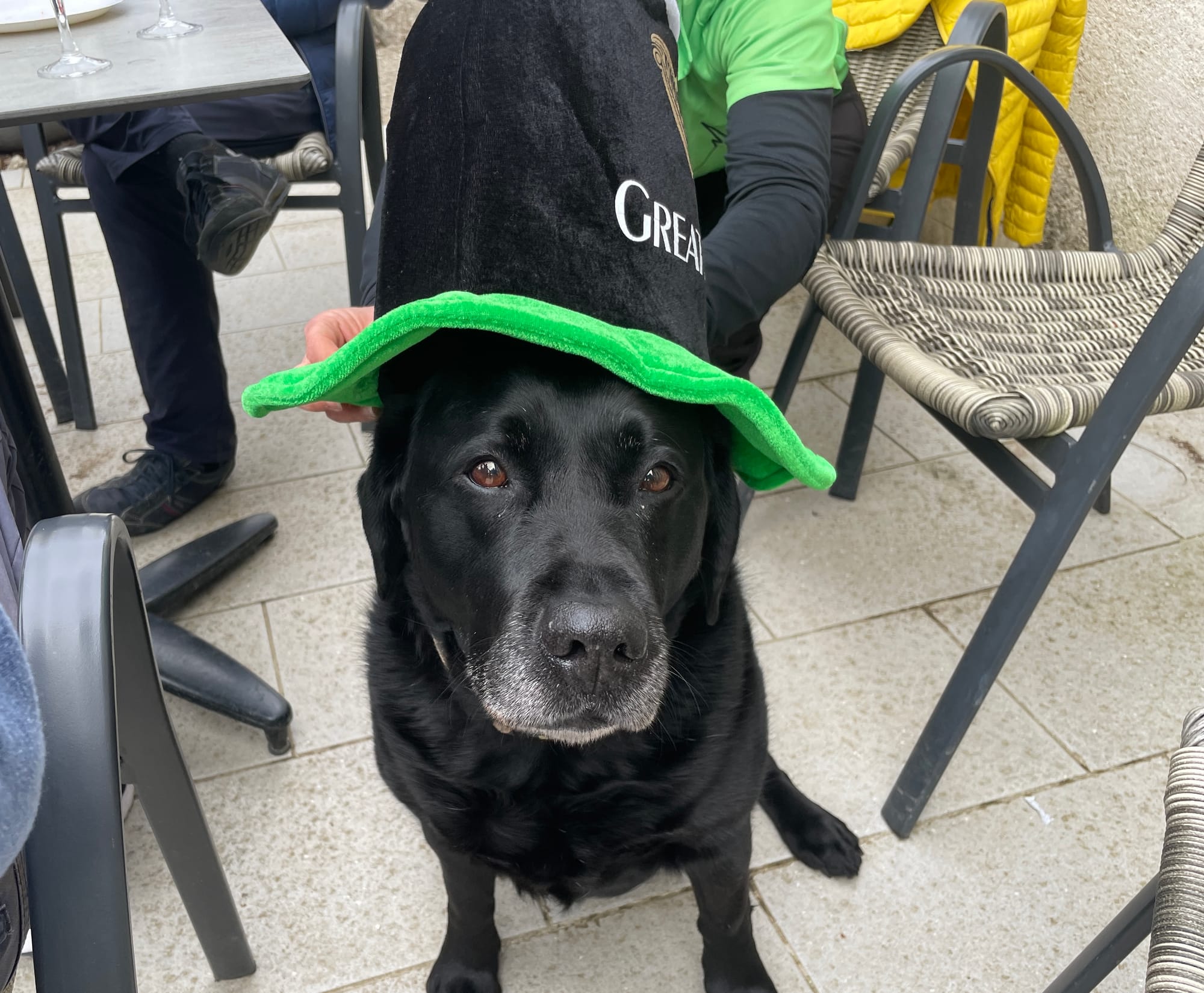 Jade fête la St Patrick