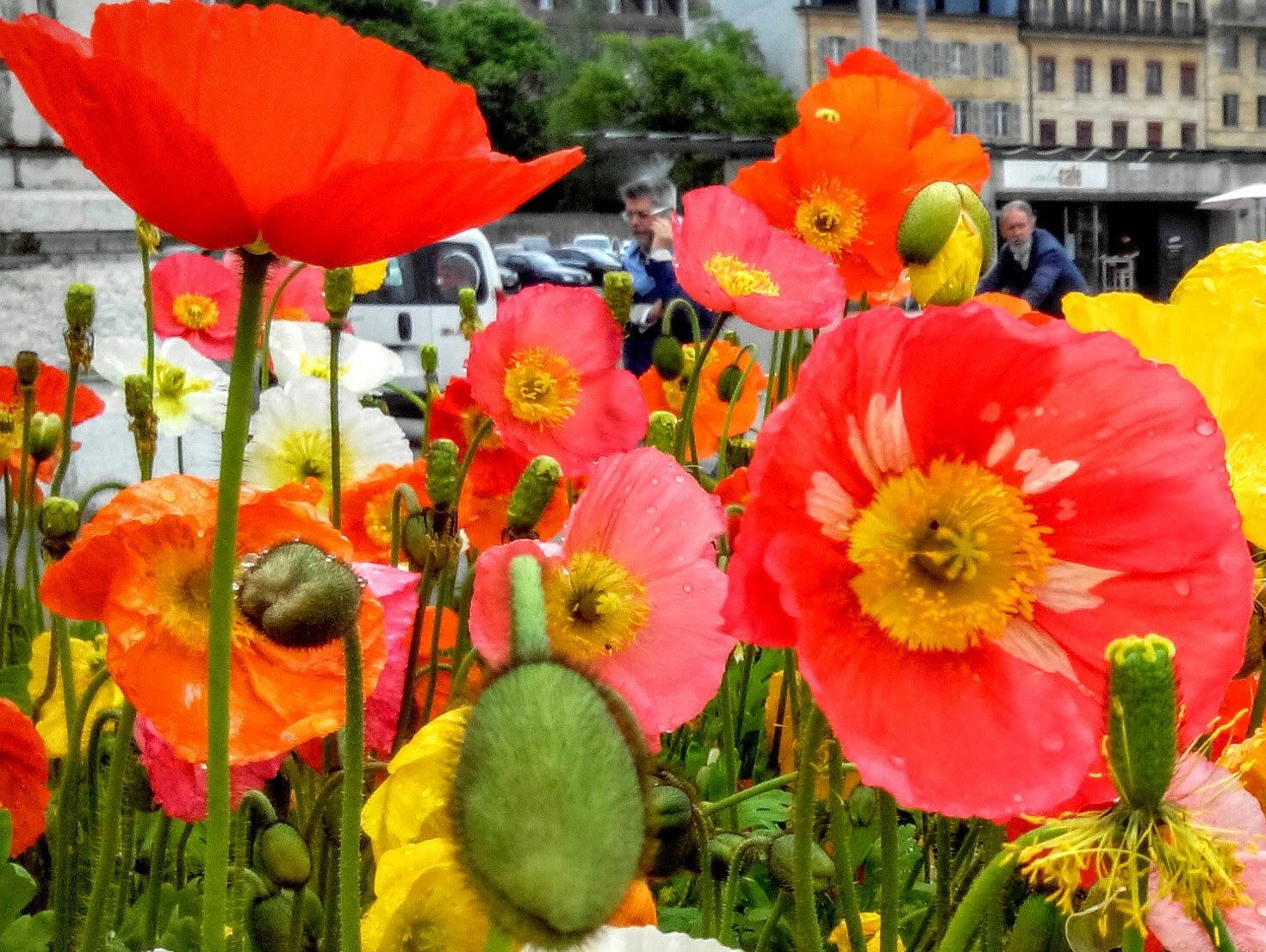 LA CHAUX DE FONDS