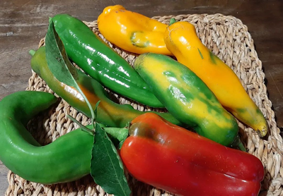 SESTO ANNO: ULTIMO RACCOLTO 2 NOVEMBRE 2022