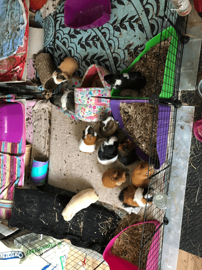 donations greatfully accepted image