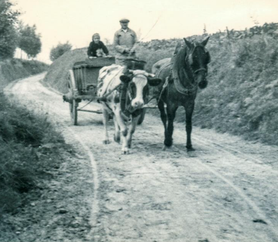 Nieuwe uitgave van "De Zwalmgalm"