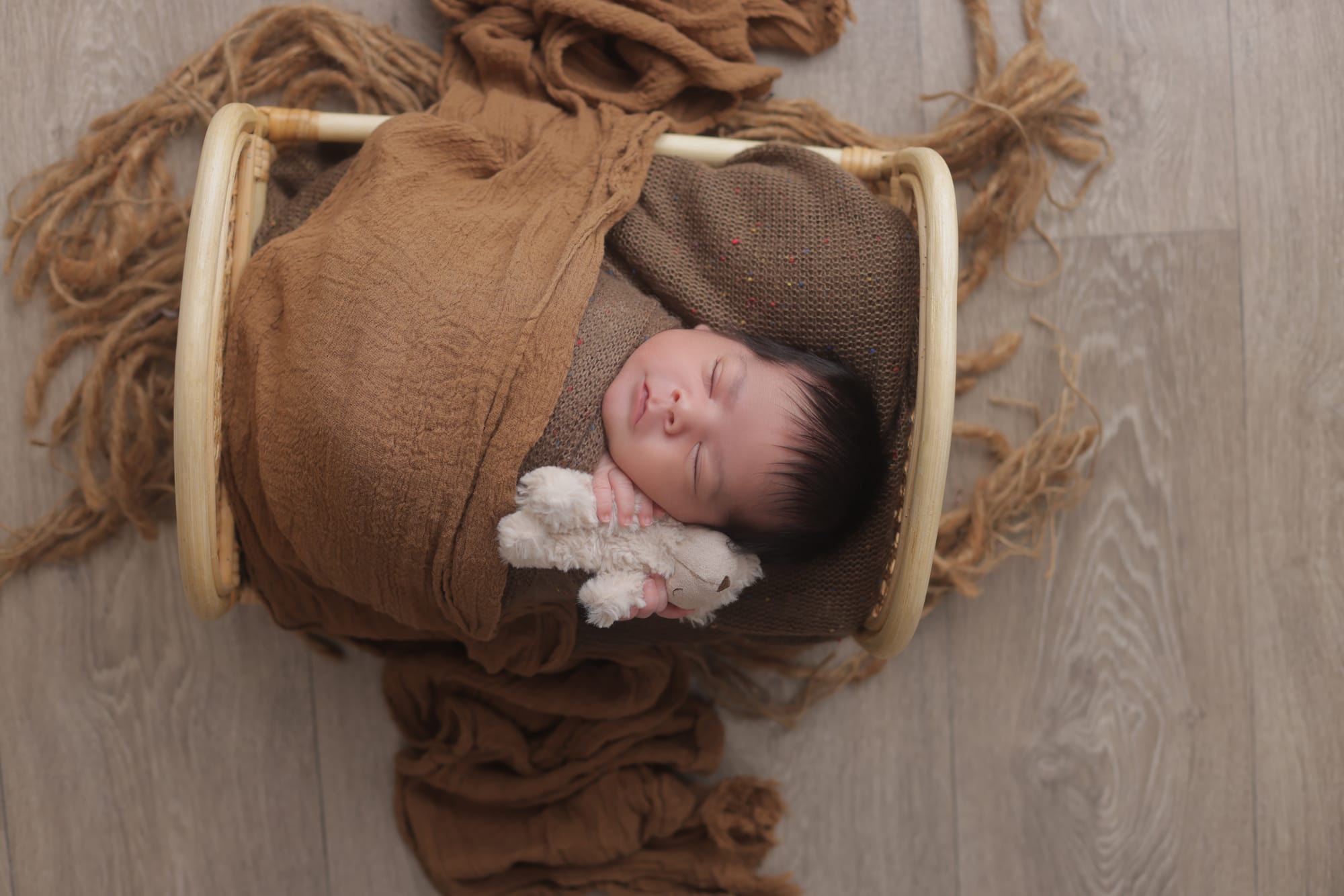 تصوير مواليد 