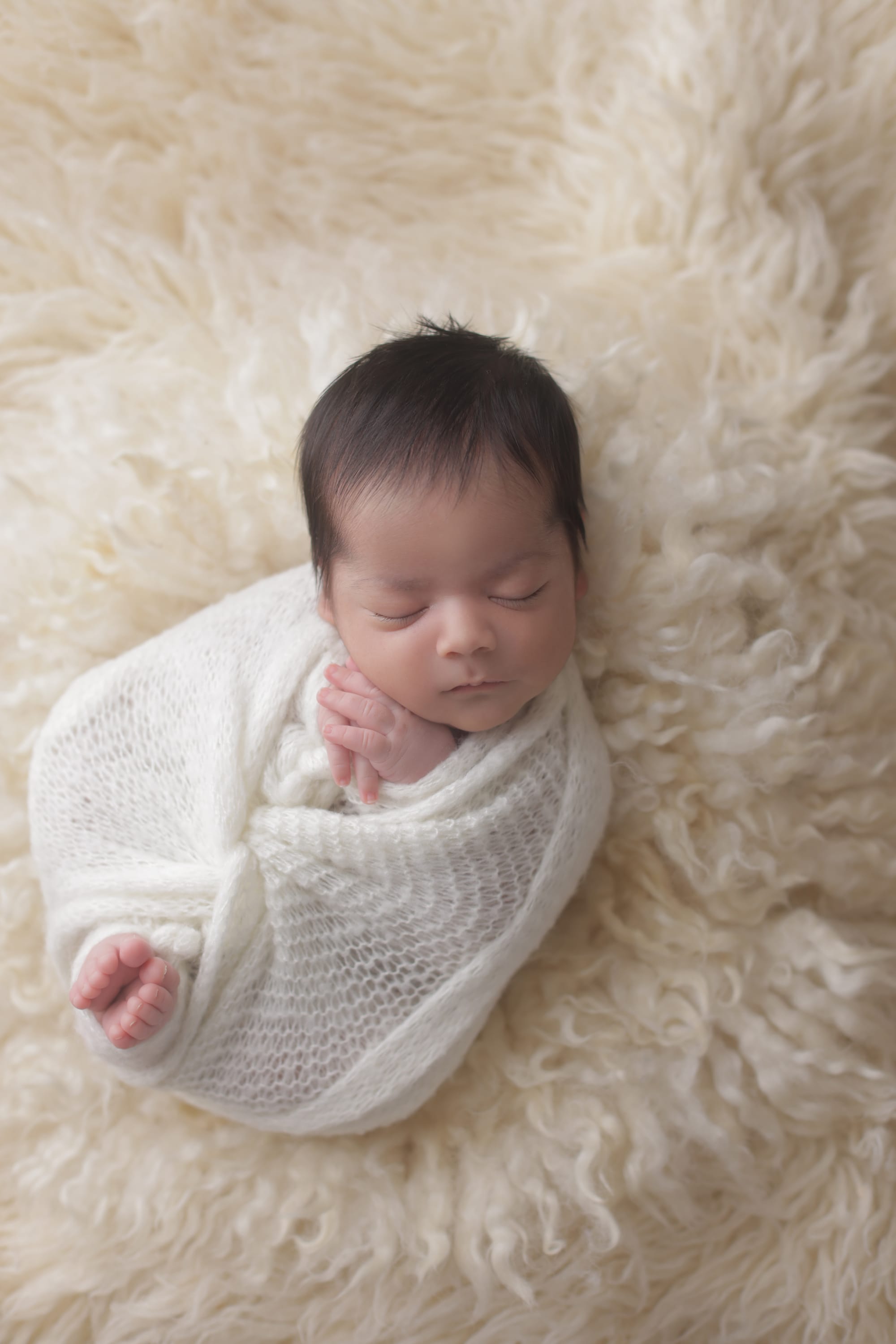 تصوير مواليد 