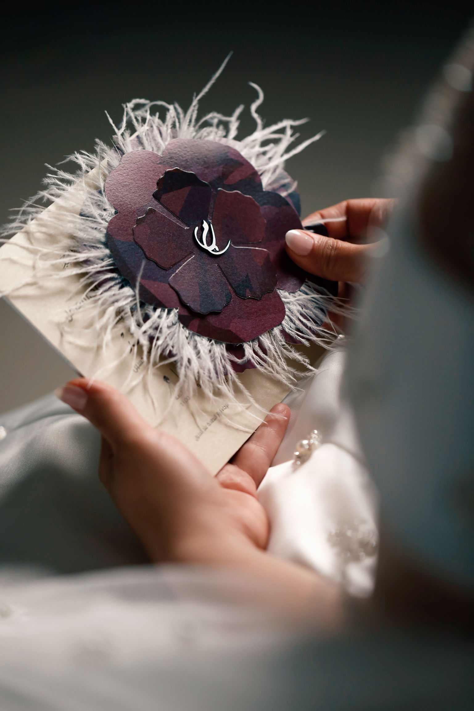 تصويرالآعراس