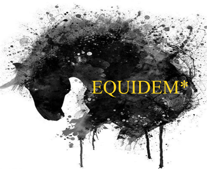 EQUIDEM* - Coaching insieme al cavallo