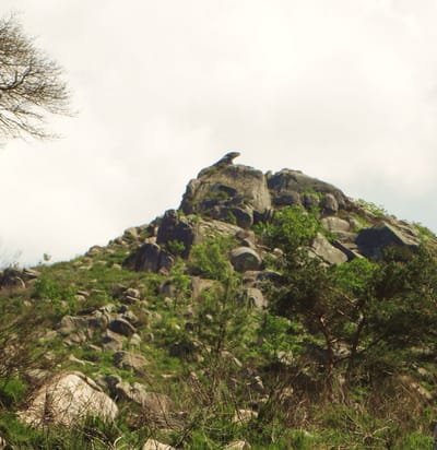 A lenda da Senhora da Peneda e do lagarto de Lamas de Mouro image