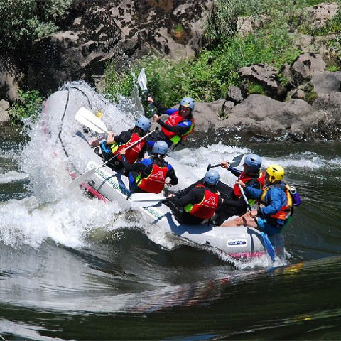 RAFTING