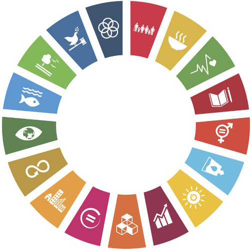 The Sustainable Development Agenda