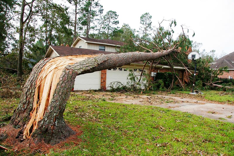 Storm Damage / Emergency Services!!!