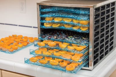  How to Shop for A Reliable Food Dehydrator image