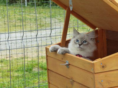  Notre élevage image