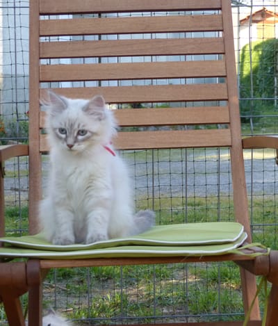  Notre élevage image