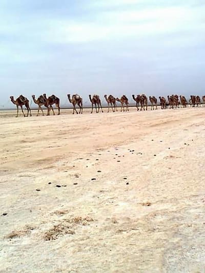 2 Dallol, Danakil Depression
