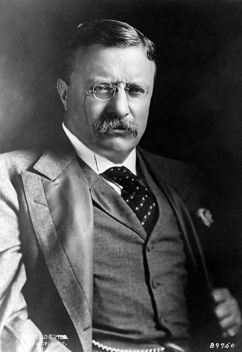 Theodore "Teddy" Roosevelt