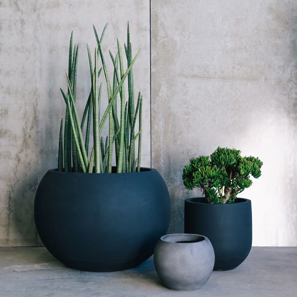 Decorative