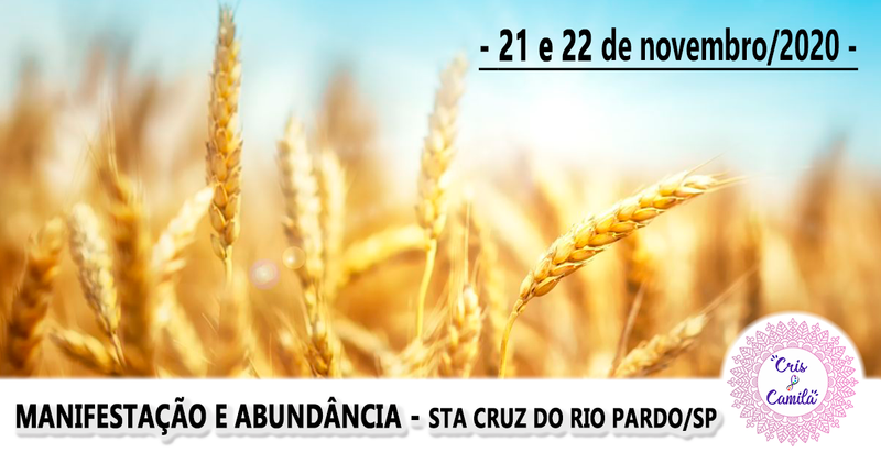 Curso de ThetaHealing® - Manifestação e Abundância