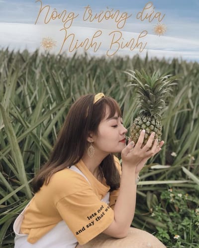 Sống ảo cháy máy tại đồng dứa Đồng Giao FREE hoàn toàn vé vào cửa