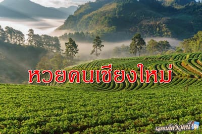 เลขเด่น เลขเด็ด หวยคนเชียงใหม่ มาแล้ว