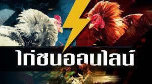 วิธีการพนันไก่ชนออนไลน์   ได้ผลตอบแทนสูง มีหลากหลายคู่