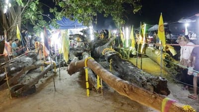 คอหวยลุ้น! เลขเด็ด “ตะเคียนทอง” วัดอ่างทองพัฒนา