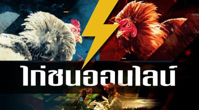 ศึกษาไก่ชนให้ดี อย่าตีตามราคาออนไลน์