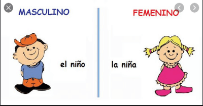 MASCULINO Y FEMENINO