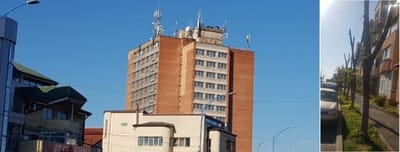 Genocid împotriva Severinenilor! Legatura dintre toaletarea de primăvară a copacilor și Tehnologiile 4G și 5G