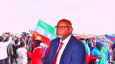 The onlf 37th anniversary in usa  image