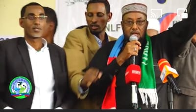 The onlf 37th anniversary in usa  image