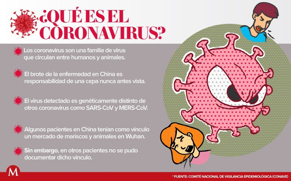 QUE ES EL CORONAVIRUS?