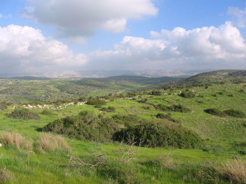 אתרים מקראיים בשפלת יהודה