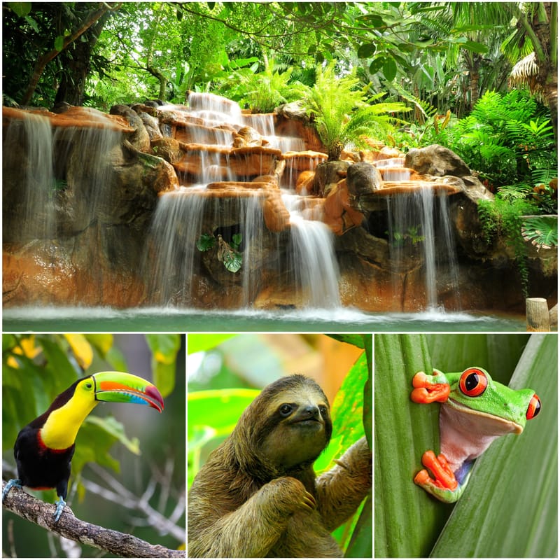 יום חמישי 26.11. י' כסלו: טיול בזום עם חברת בשביל הזהב