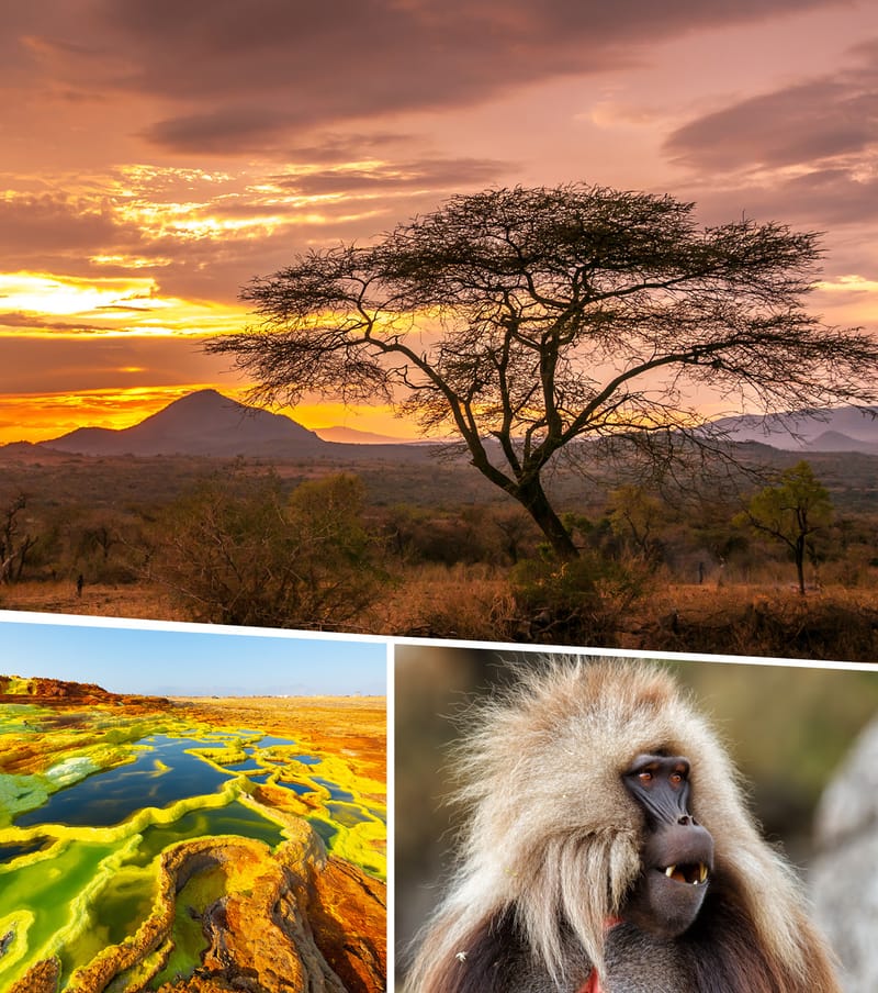 יום חמישי 18.02.21 ו' אדר בשעה 11:00 - אתיופיה- מקיסרות מתבודדת לתגלית הגדולה של אפריקה - עמוס גולדבלט