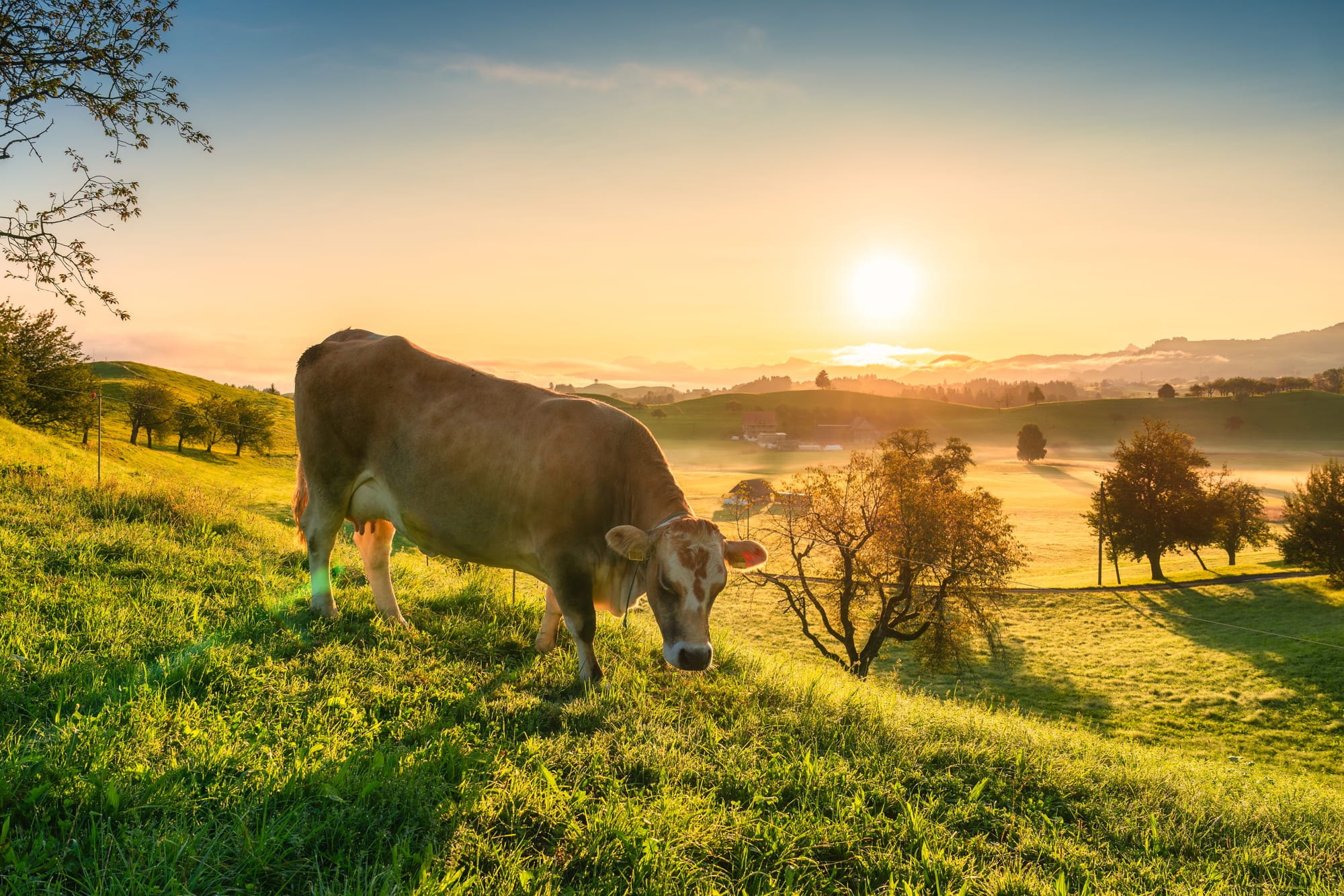 La green economy e il valore dell’ambiente