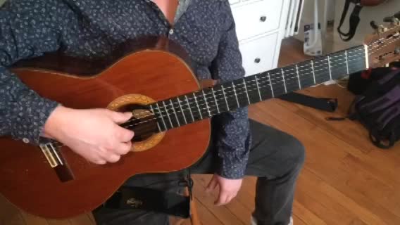 HEDWIGE THEME (Harry Potter)