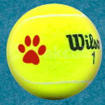 Characteristics of Tennis Balls in UK