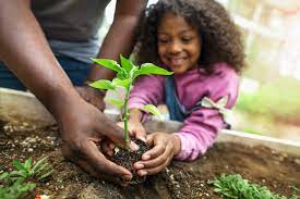 THE GREEN FINGERS CLUB (5 - 7 years old)