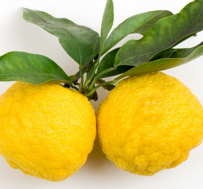 Le citron yuzu