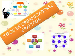 5). 3er periodo, Semana 8: (del 24 de agosto al 28 de agosto)