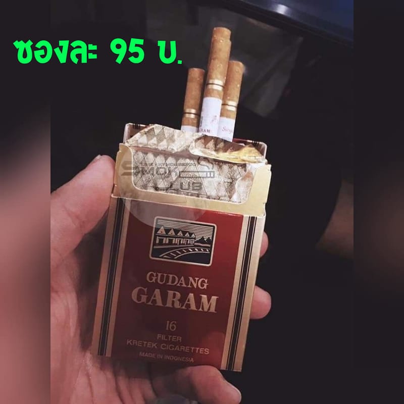 Gudang Garam Professional 16