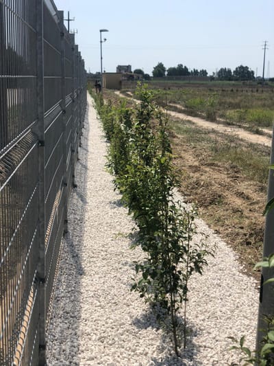 Manutenzione dell'impianto