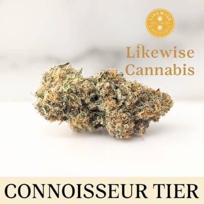 Making Usage of Medicinal Marijuana In California image