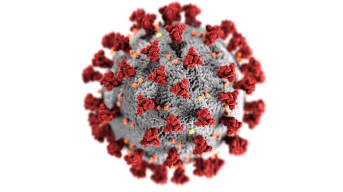 What is Coronavirus?